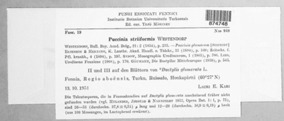 Puccinia striiformis image